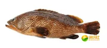 舟山海鲜代加工攻略,最全舟山海鲜攻略