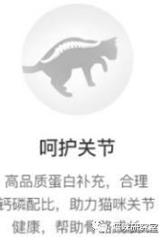 网易严选全价成猫粮测评,网易严选成猫粮和全价猫粮