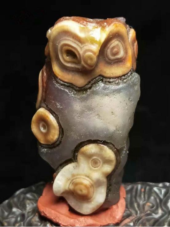 都是些什么“鸟石”？保证有你好看