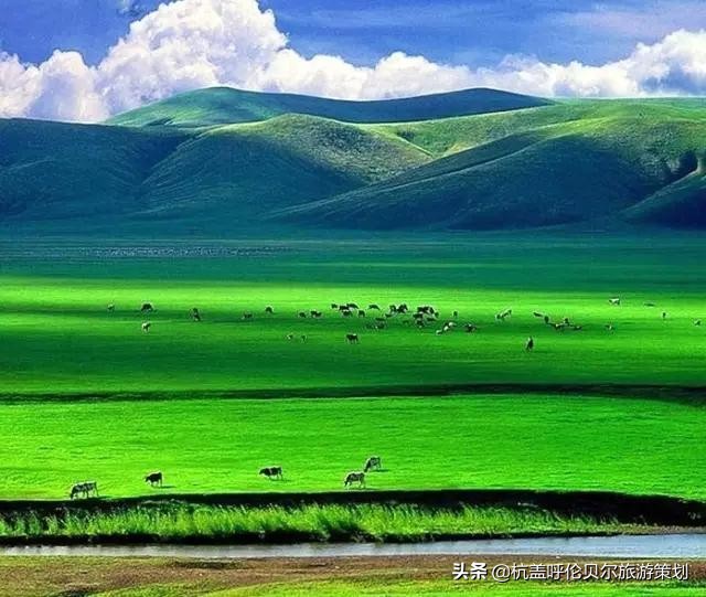 自驾游内蒙草原需要注意什么,带孩子去草原旅游必备物品