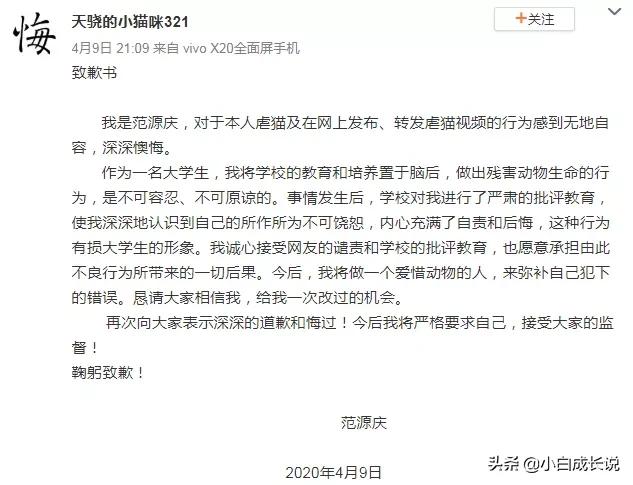 为什么虐猫会被批判,为什么现在虐猫都能上热搜