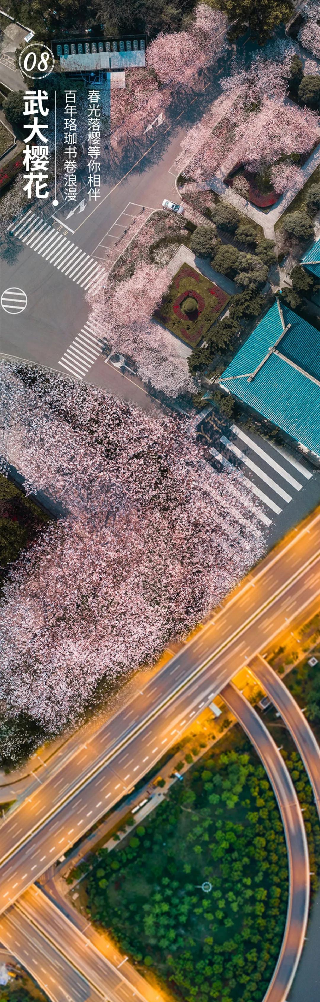武汉历史上的十景,武汉官宣片
