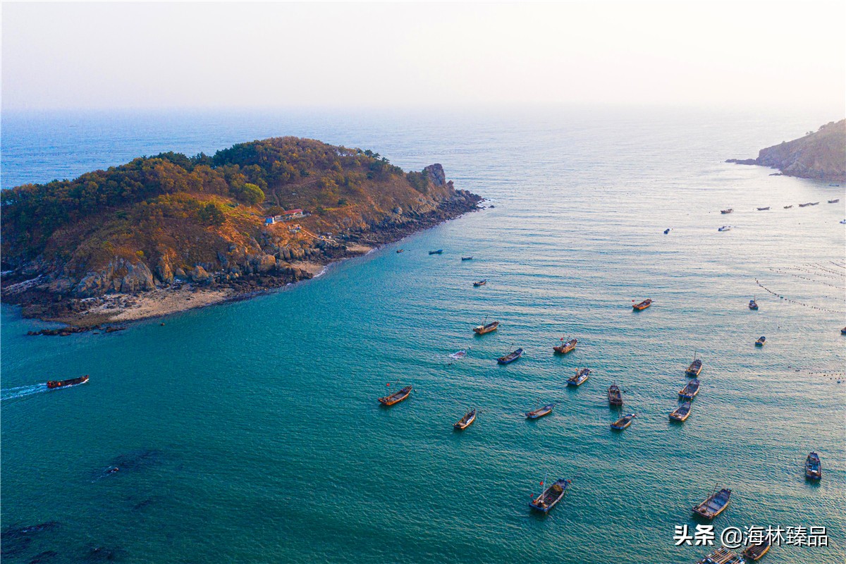 探秘海参的捕捞过程,野生海参采捕视频大全