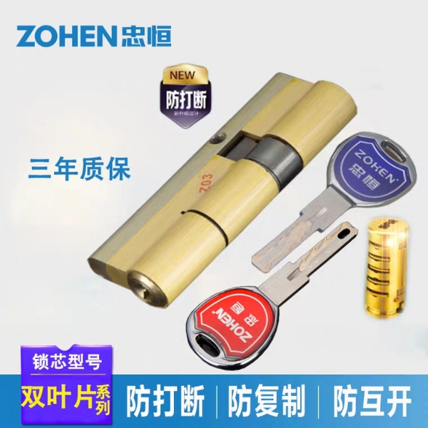 怎样买锁芯更安全锁芯哪个品牌好,十大防盗门锁锁芯品牌排行榜