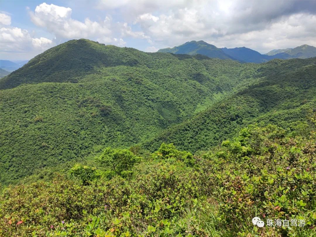 大山峰水牛坪露营记,东岸岭露营徒步