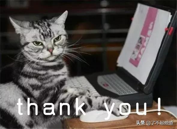 英国也抢不到票，求中国人给他们做了个“12306”