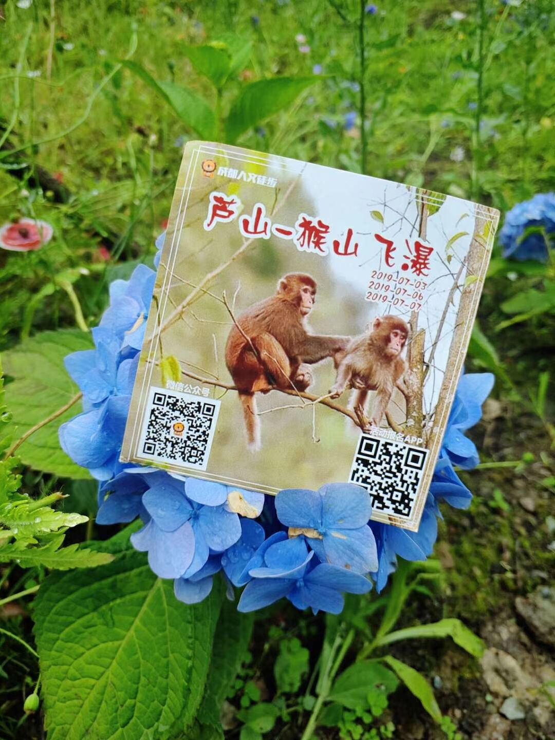 猴山飞瀑,猴山飞瀑旅游区地图