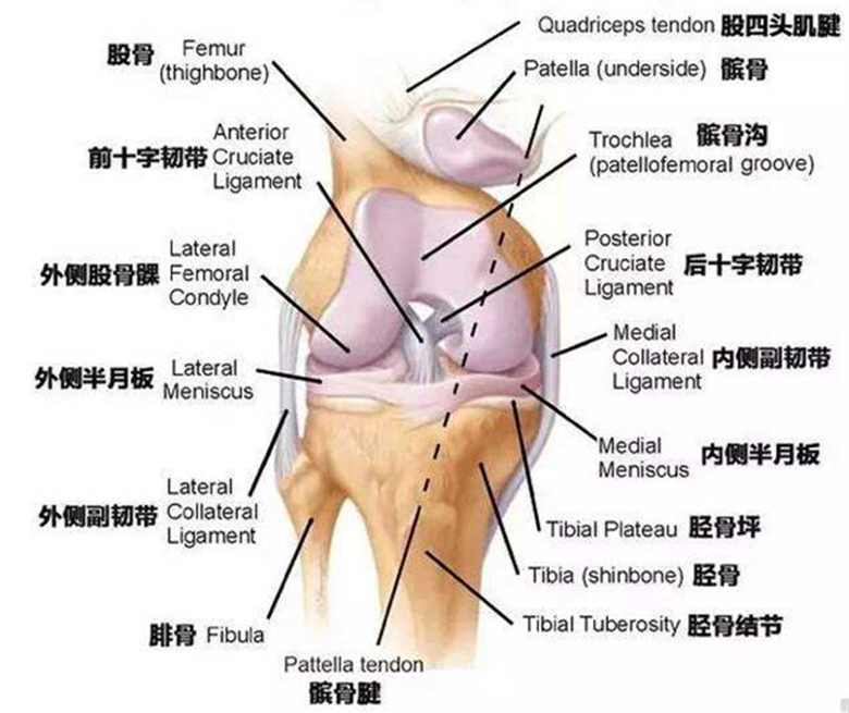 胫骨结节骨软骨病是怎么引起的,胫骨结节软骨炎不痛要治疗吗