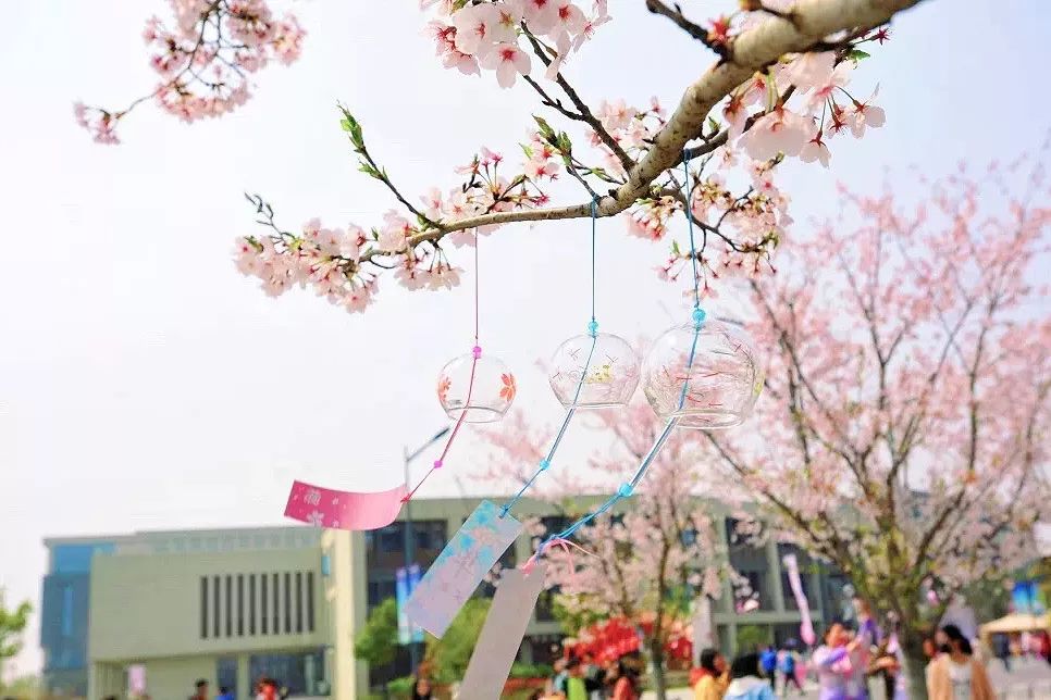 泰州职业技术学院招生咨询,泰州职业技术学院2019年招生简章