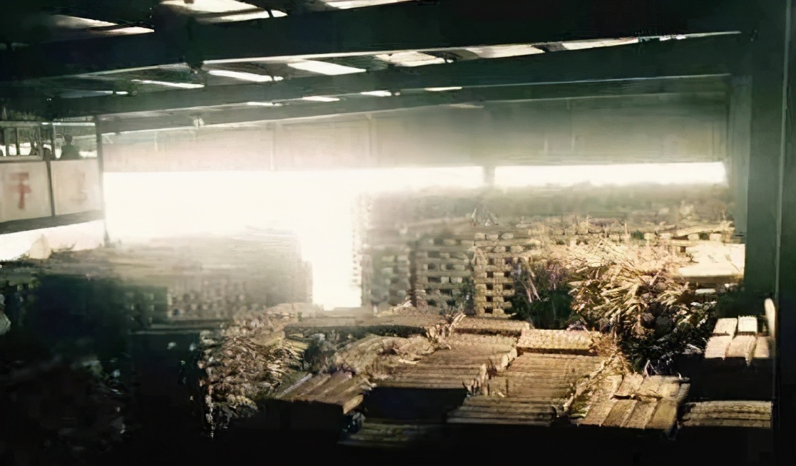 东莞普洱库存40万吨,东莞30万吨普洱茶