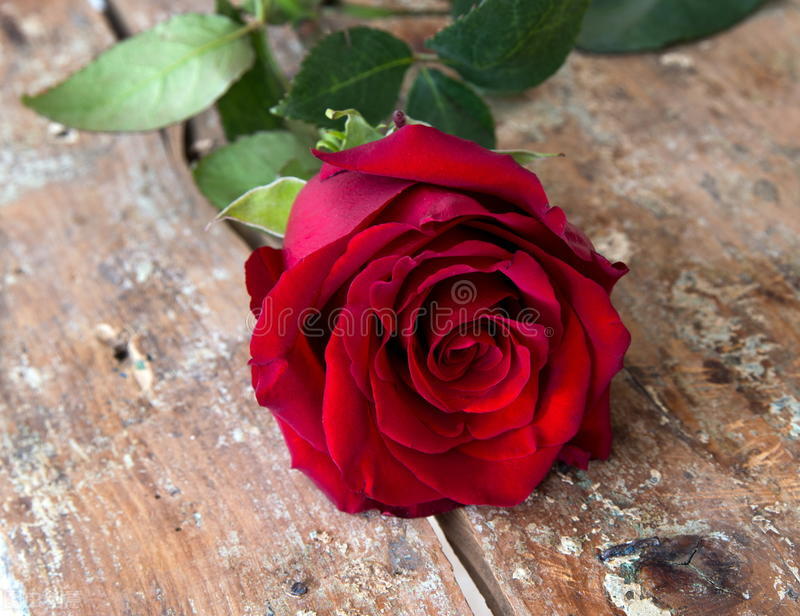 来吧新生活创作的原声,来吧新生活原声