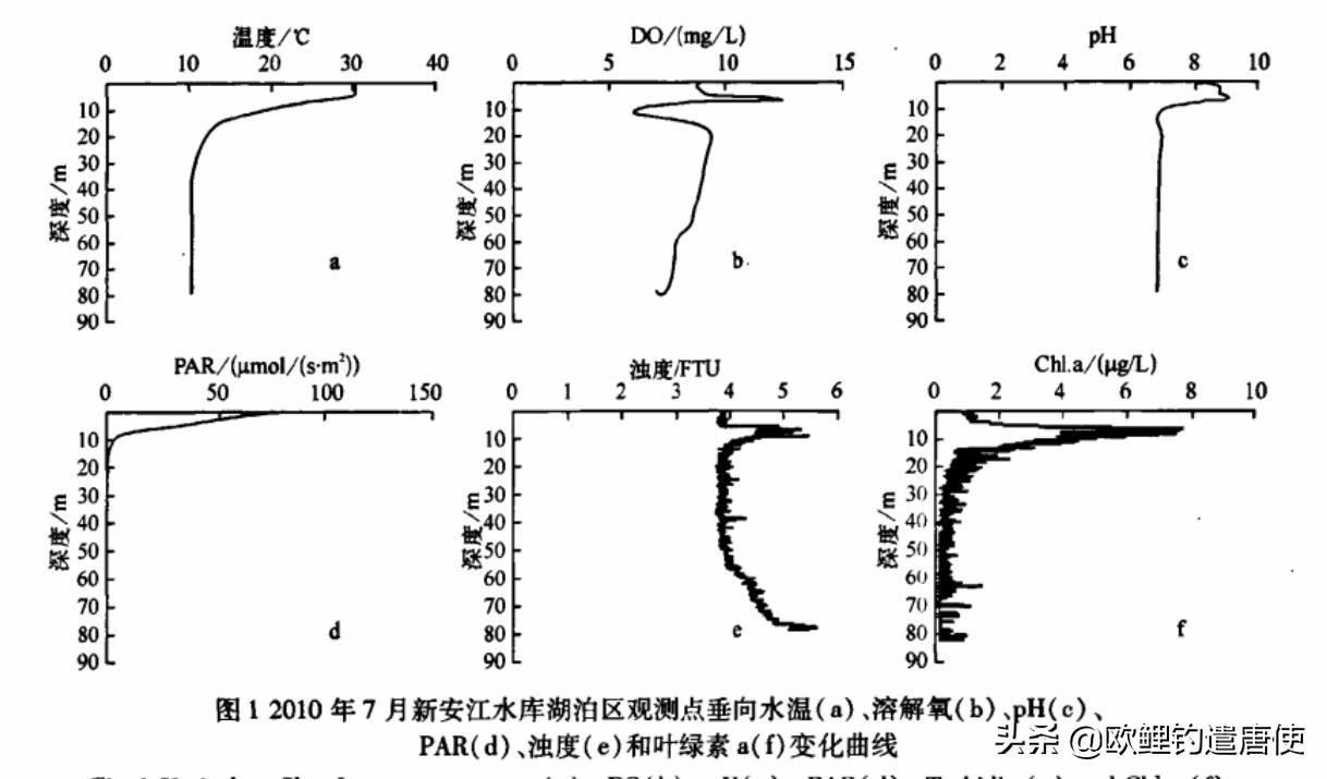 夏季下雨过后钓鱼应如何选择钓位,夏季垂钓这3个钓位上鱼超多