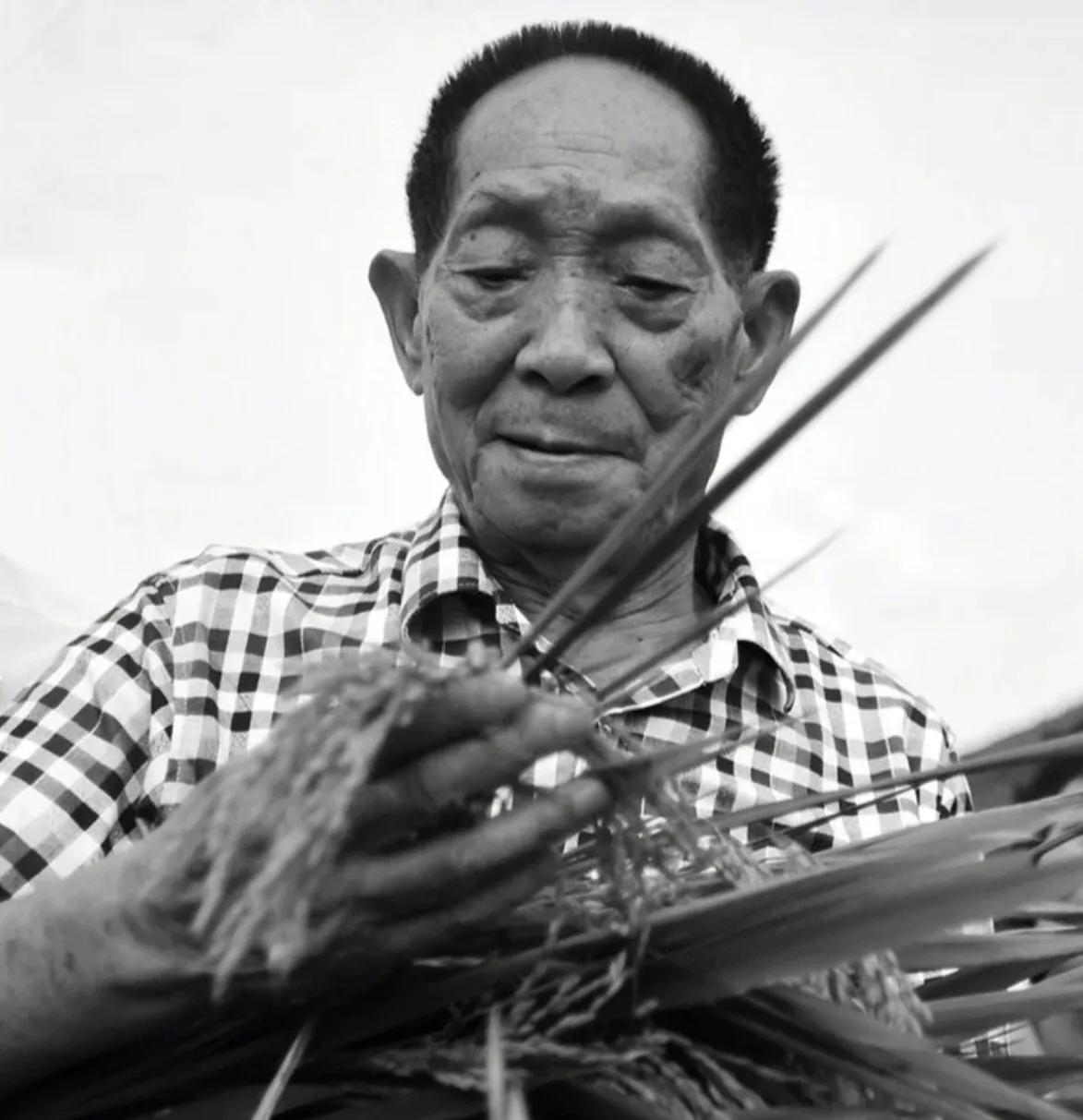 吃饭不忘种稻人,吃饭不忘种田人报恩