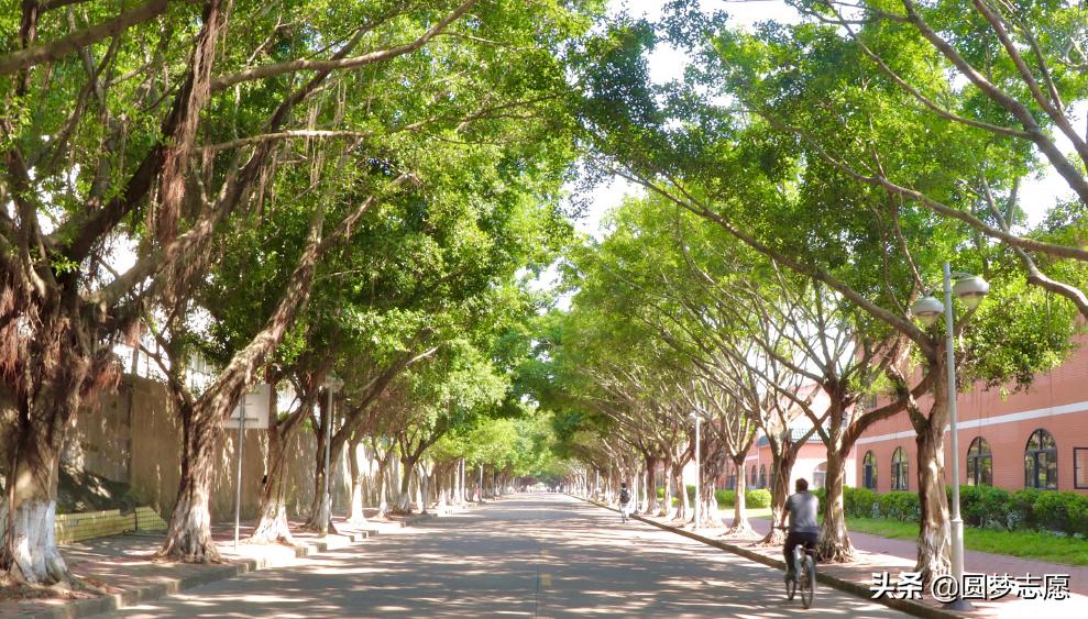 考上中山大学研究生怎么样,考上广东中山大学