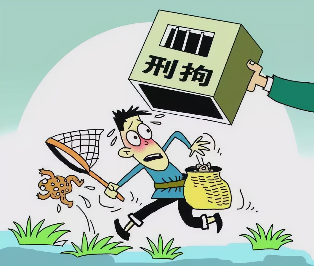 抓1只癞蛤蟆就违法？活着讨厌、死了吓人，为何还受法律保护？