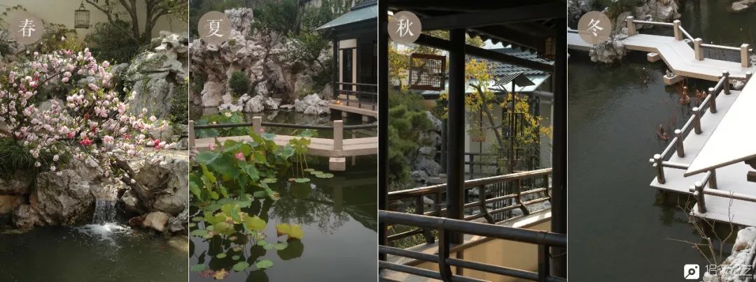 大叔花700万建的花园别墅,太湖石苏州