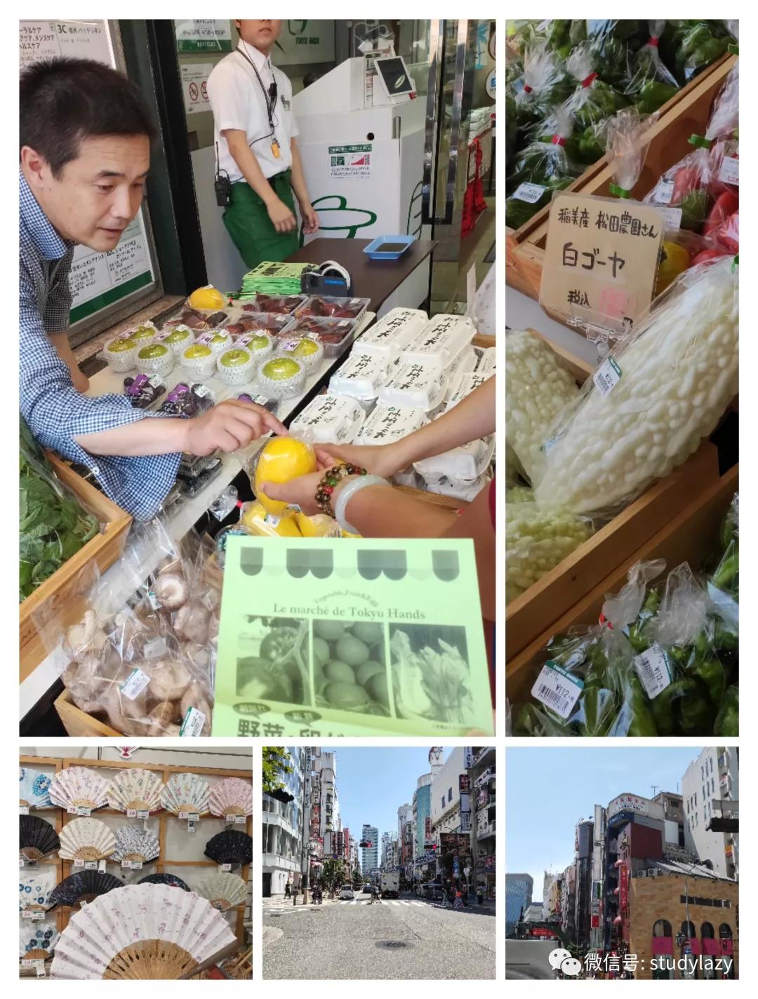 日本宇治抹茶,日本宇治简介