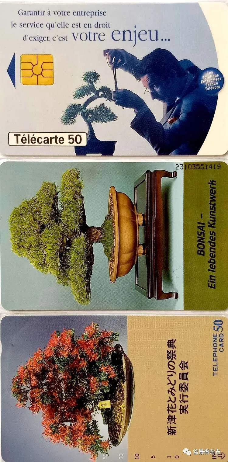 鐩嗘櫙鑱旂郴鐢佃瘽,鐩嗘櫙鑱旂郴鐢佃瘽鍙风爜