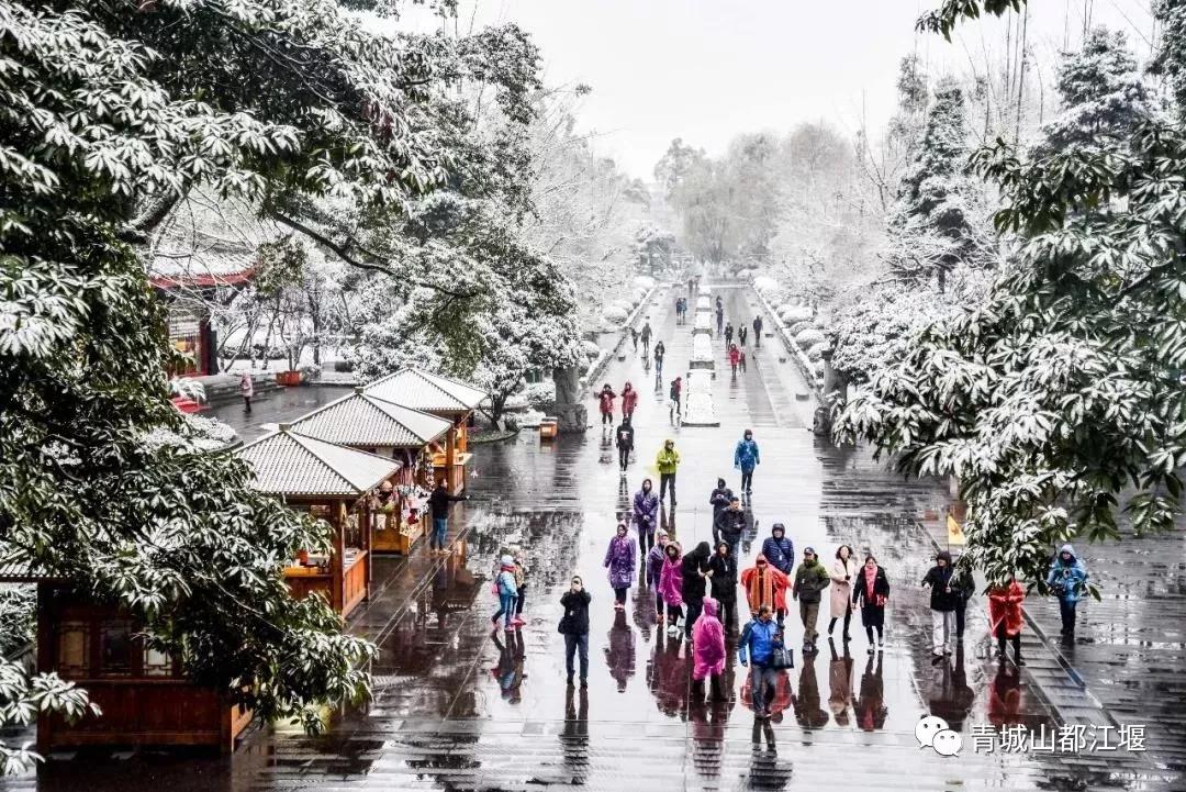 无雪不成冬,都江堰玩雪一日游