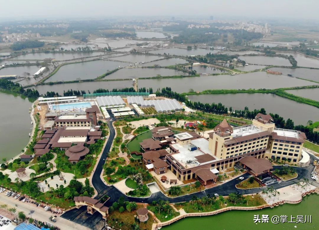 吴川精彩的比赛,吴川市大型比赛