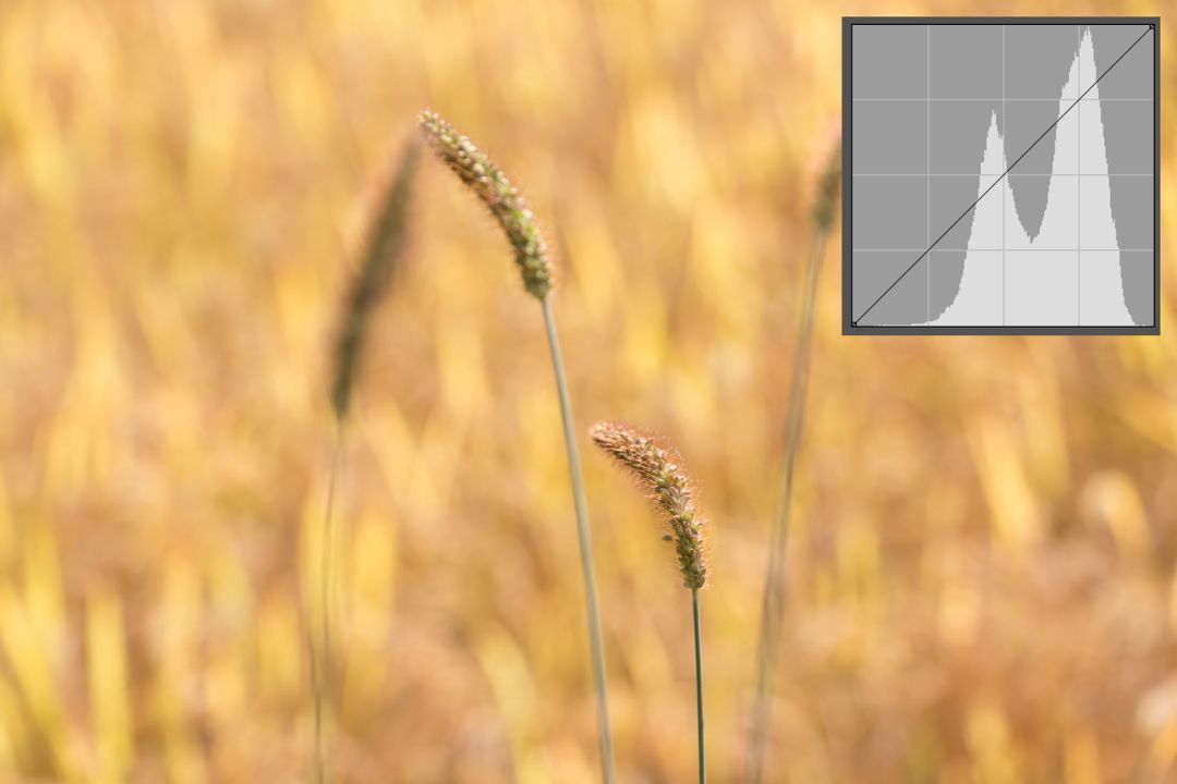 曲线到底难在哪里,曲线难还是直角难