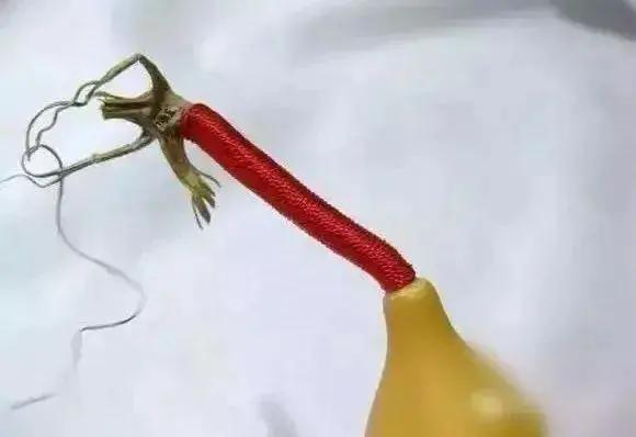 新葫芦龙头的处理方法,盘葫芦的龙头