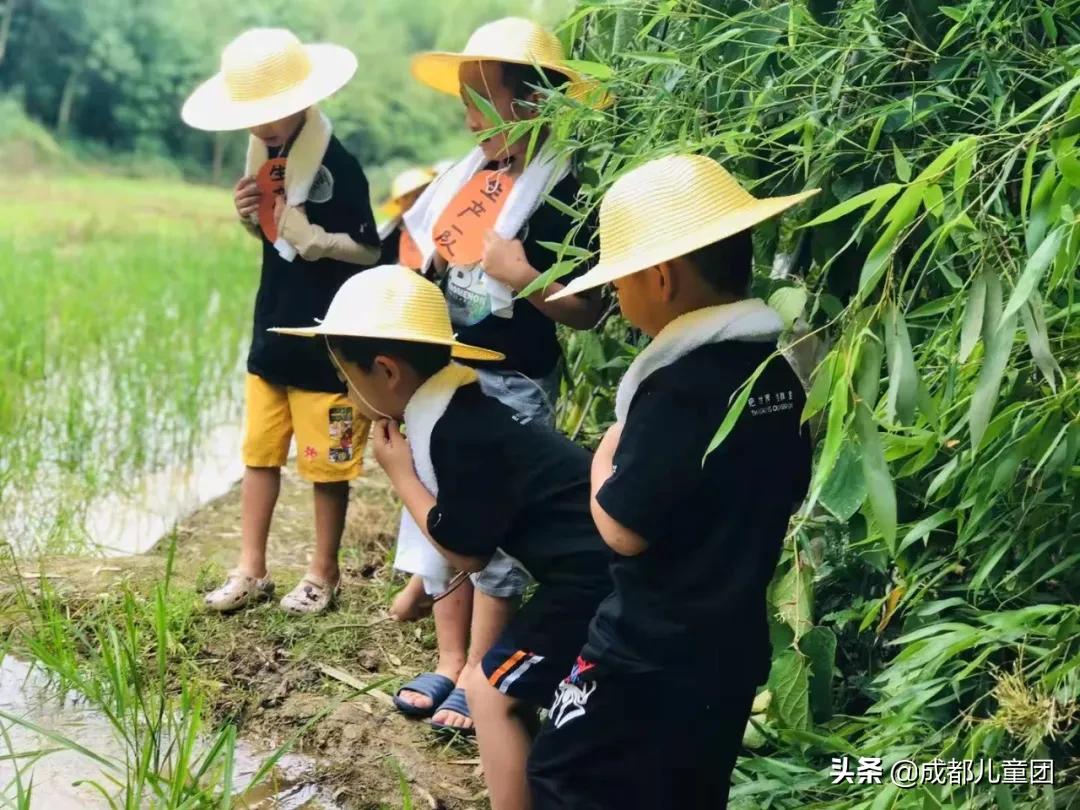 土地四季·禾下乘凉丨给孩子的大地课堂,在自然中自然生长