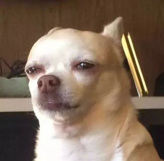 田园女权,国家对田园女权的看法