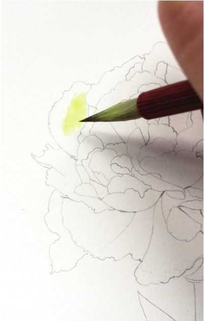 只需7步,就能画出这么美的康乃馨,艺术生快来学习临摹吧,收藏