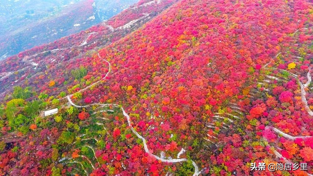 亲子京郊游红叶,国庆去北京看红叶攻略