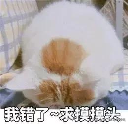 和朋友吵架了冷战怎么解决搞笑,和朋友吵架冷战想和解的视频