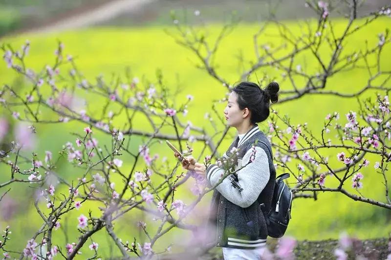 全球启动！仁寿城市发展再升级，牛牛牛！