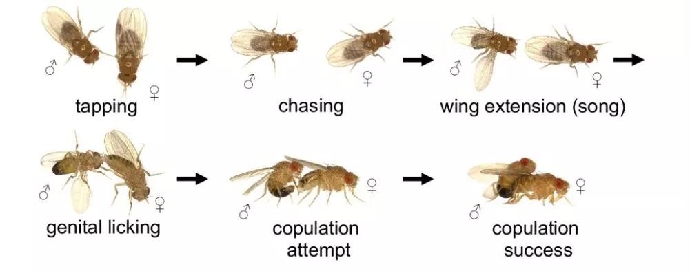 终于领悟露娜的真谛,看了几年短视频变笨还能变回来吗