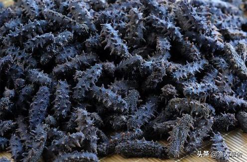 辽宁省大连知名农产品,辽宁省农产品地理标志产品都有啥