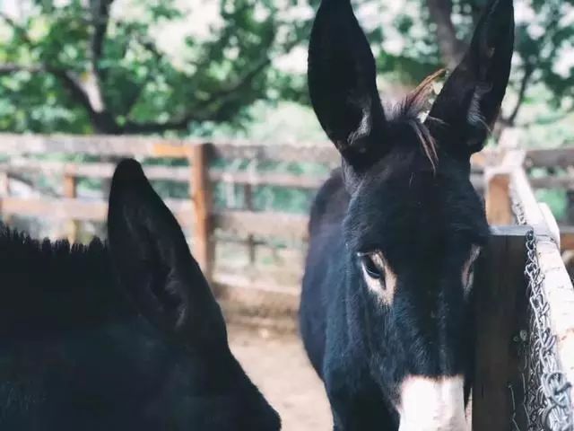鍖椾含閲戞捣婀栧厤璐归湶钀ョ殑鍦版柟,閲戞捣婀朼kid姘翠笂杩愬姩