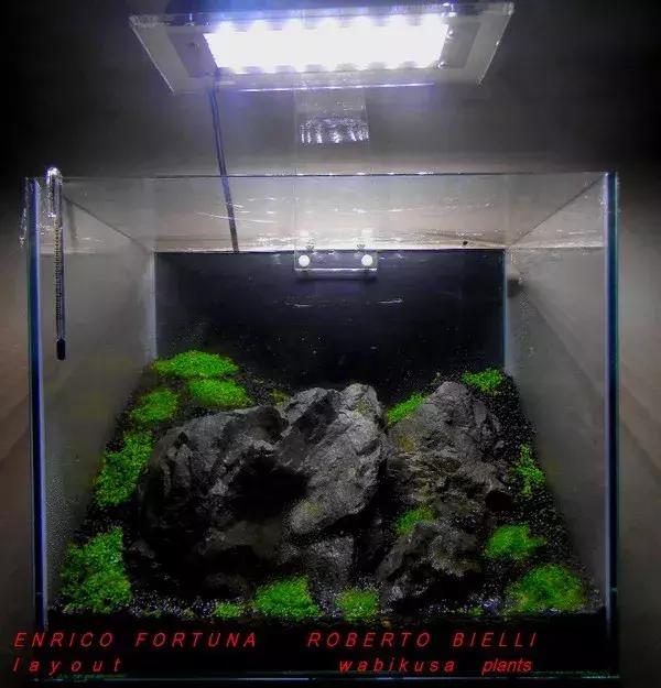 如何打造景观小缸,院子简易水景流水缸制作方法图片