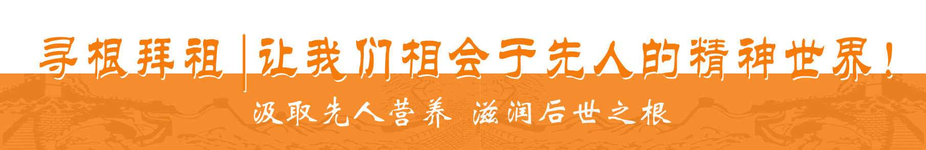 辅汉,王莽代汉自立的过程