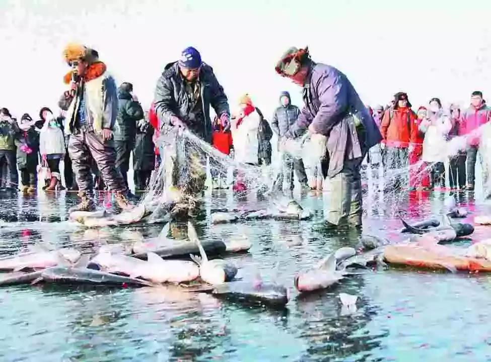 整改后的雪乡怎么样,雪乡整改后的真实感受