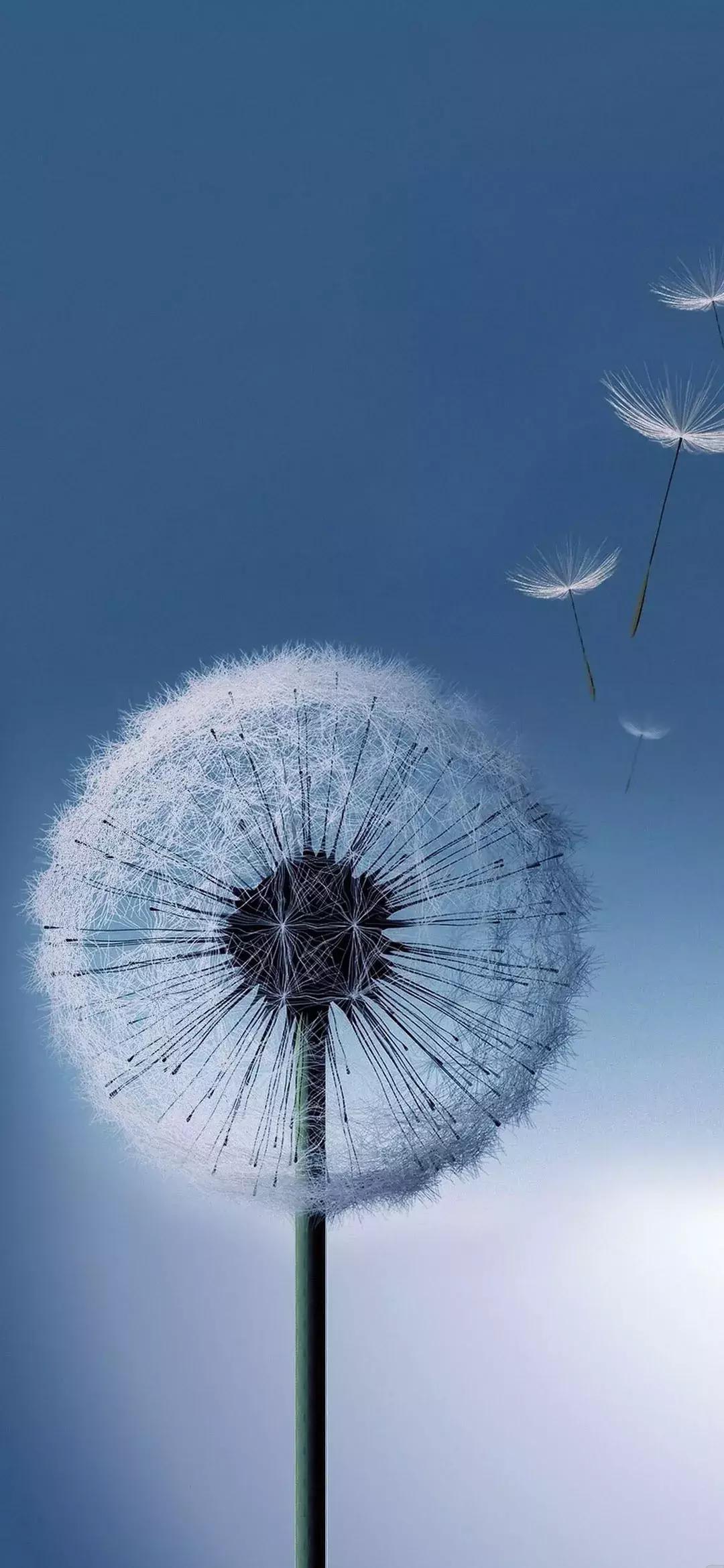 精挑细选90张精美壁纸,红色养眼壁纸超清