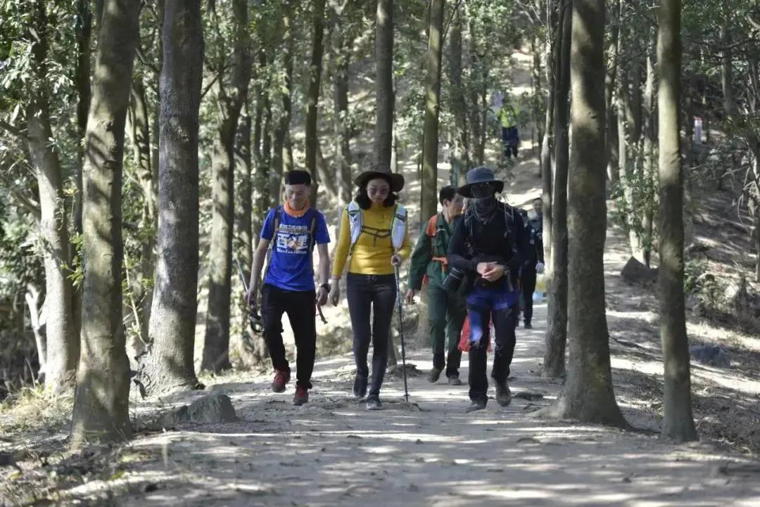 深圳首条手作“原始登山道”，人少好爬景色超美…过年去哪不用愁