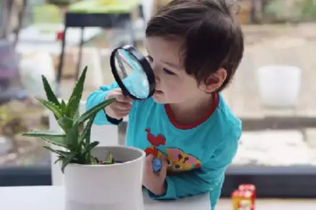 0-3岁儿童幼儿园游戏亲子益智游戏,蒙氏幼儿小游戏