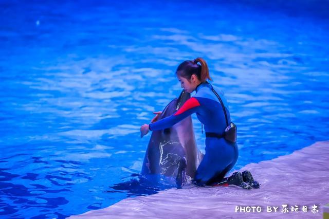 来珠海旅游必打卡的景点,春节珠海亲子游玩地方推荐