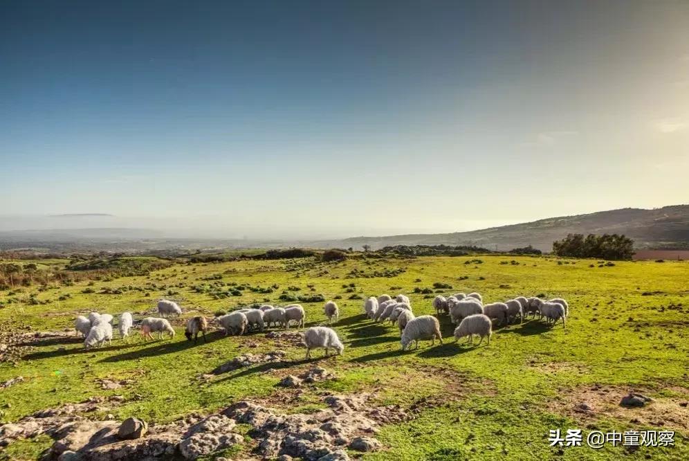 蓝河羊奶粉一段新国标怎么样,蓝河羊奶粉通过新国标了吗