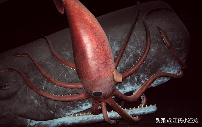 恐怖海怪大王乌贼,只有大王乌贼是海怪吗