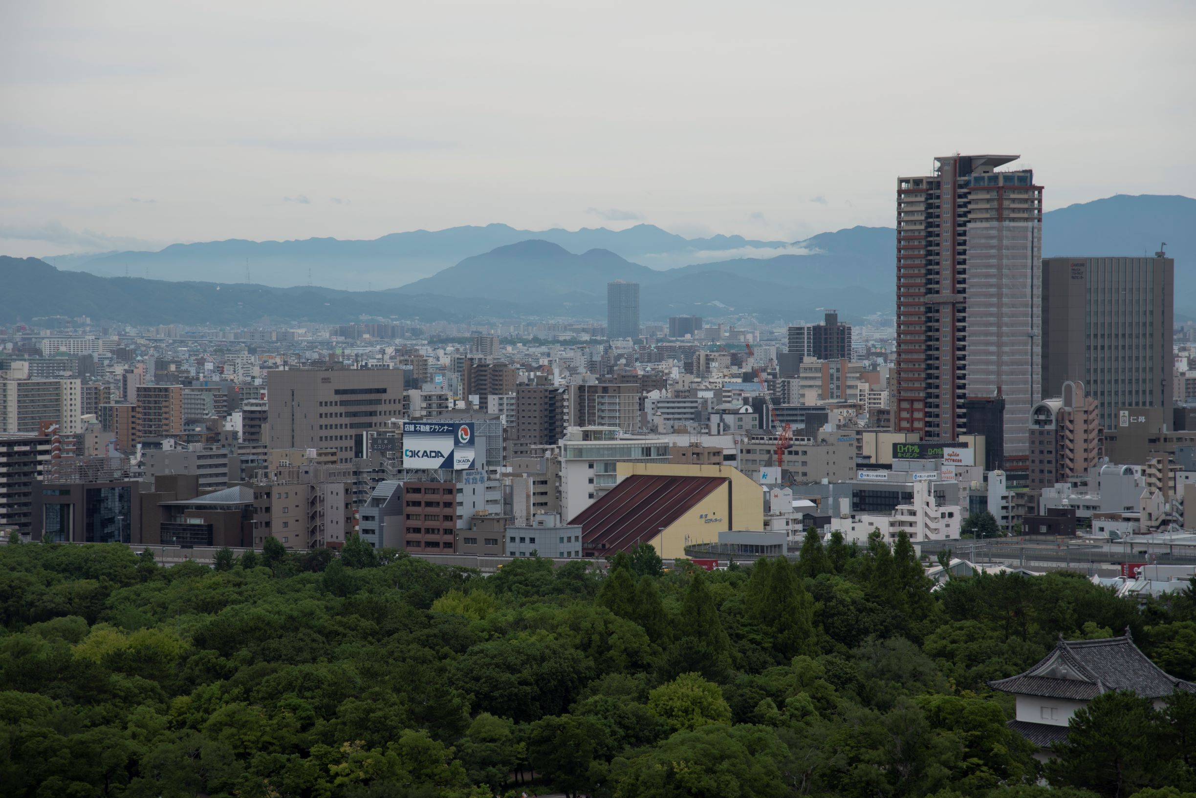 日本大阪两天旅游攻略视频,日本大阪购物攻略