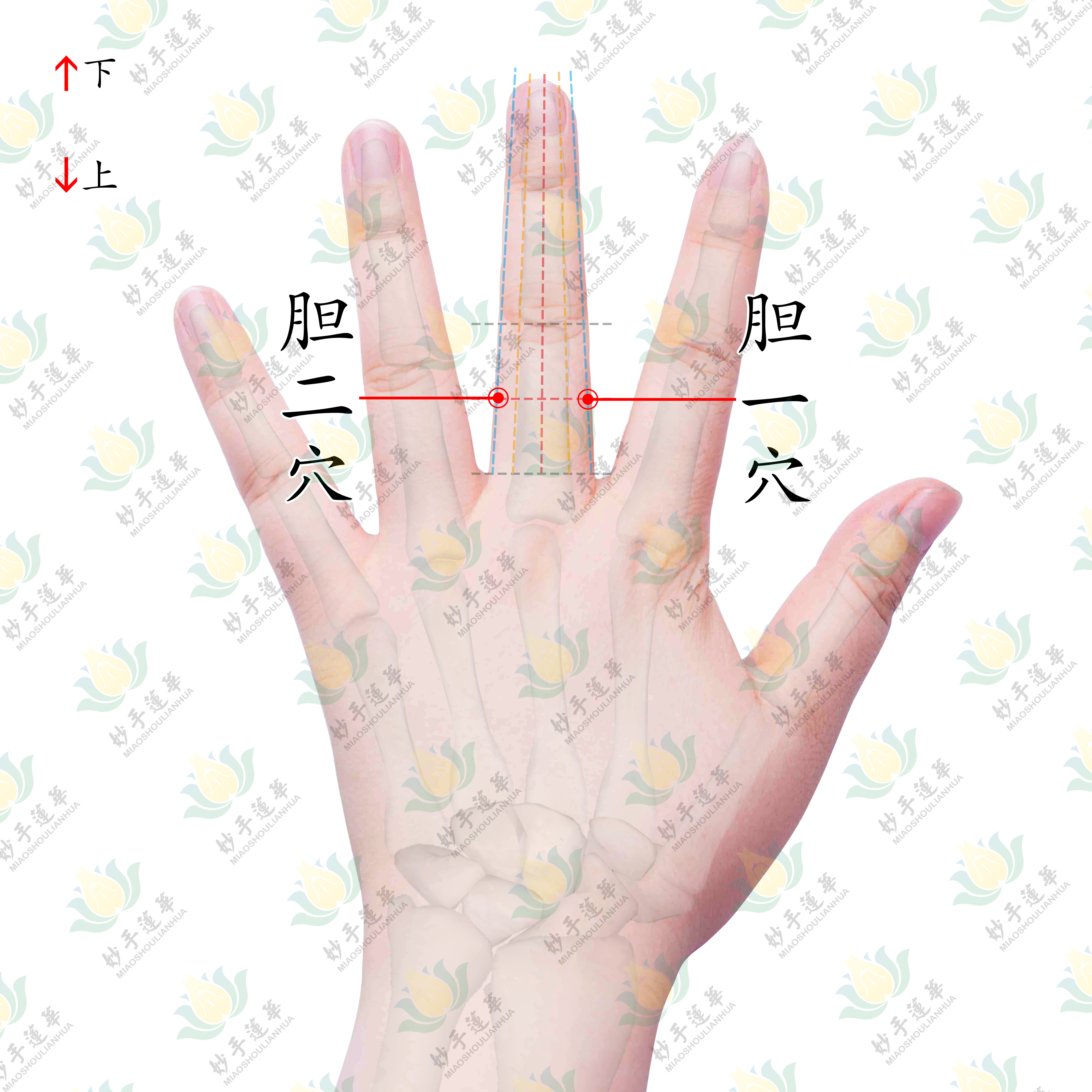 小儿胆虚夜哭不要着急，胆穴助你解决问题