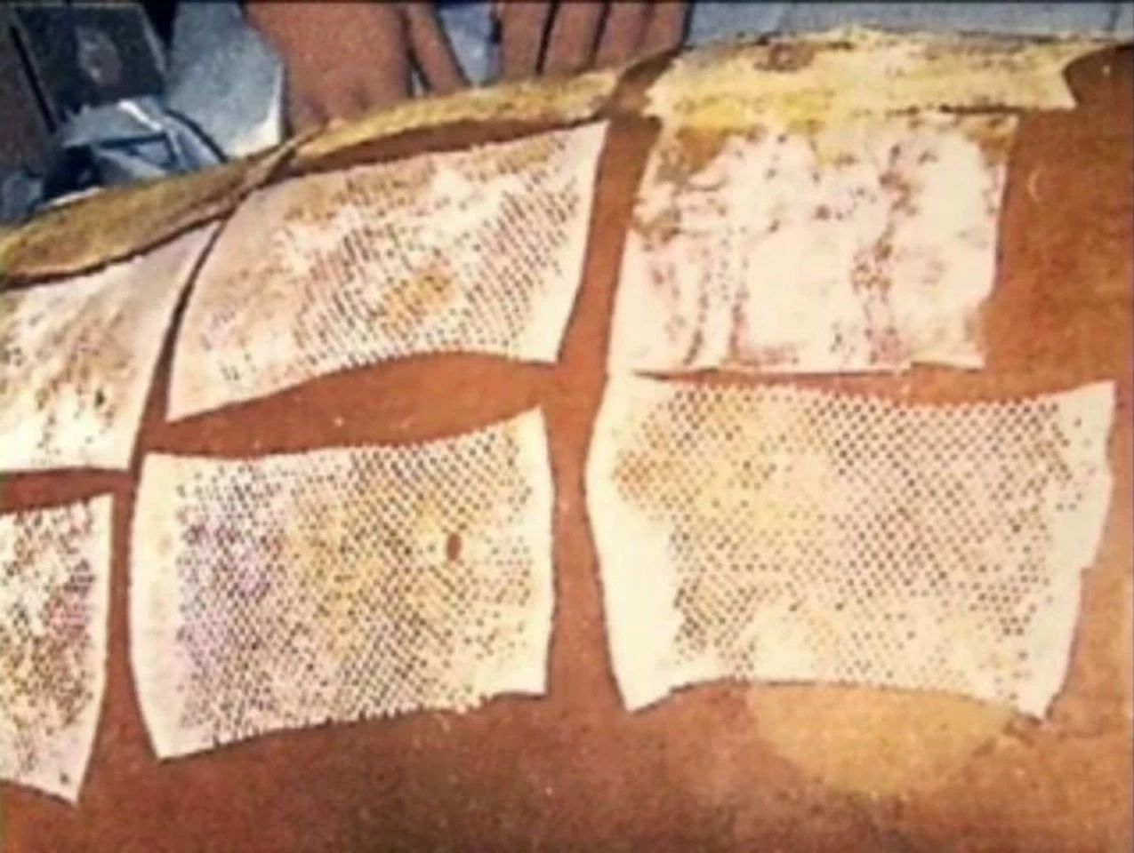 83天核事故救治纪录片,核灾83天死亡全记录