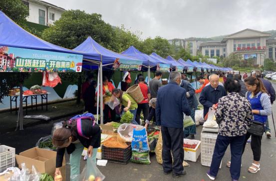 重庆贵州避暑旅游景点,离重庆最近的贵州避暑胜地