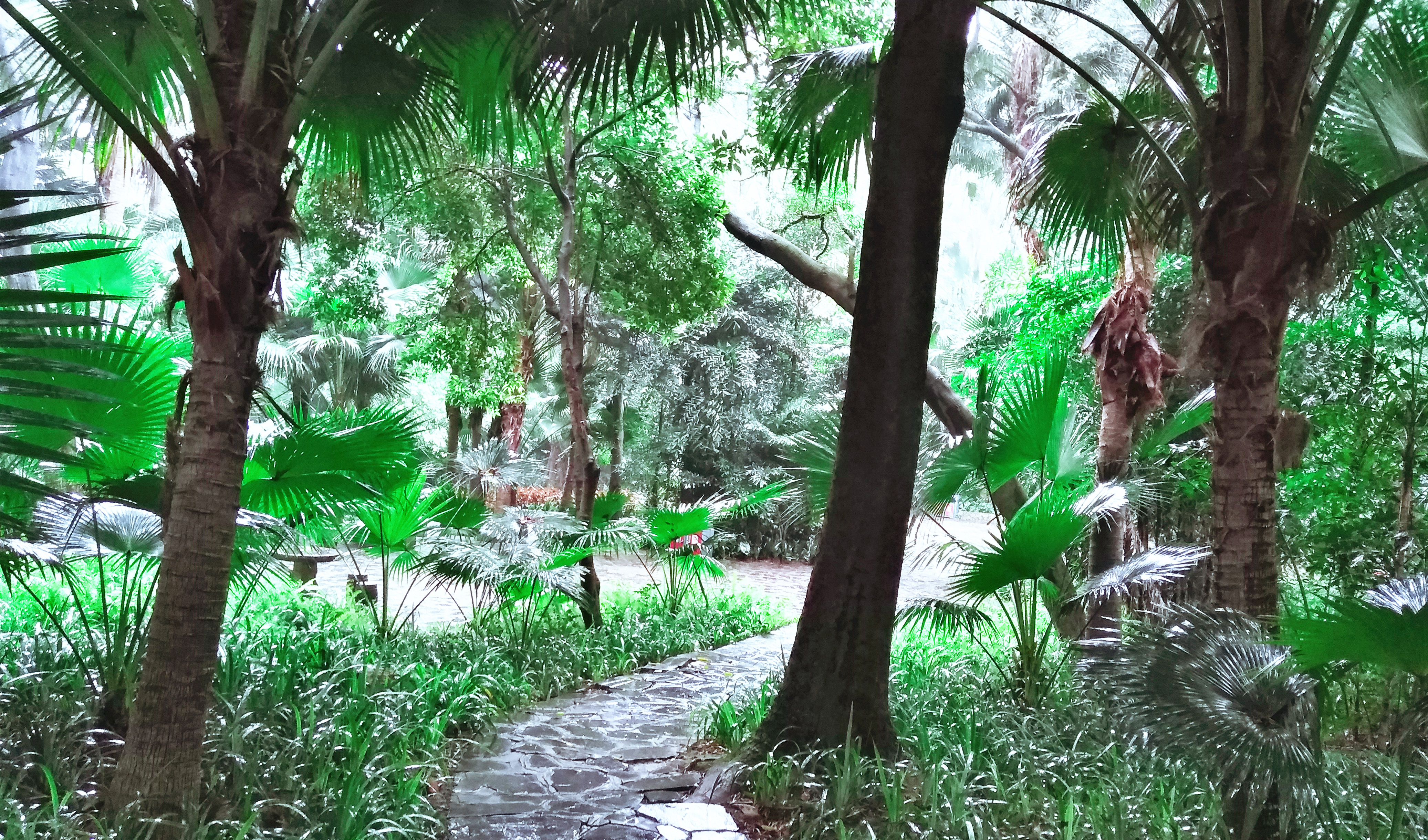 龙潭胜境蓬莱仙境,柳州冬天龙潭公园风景