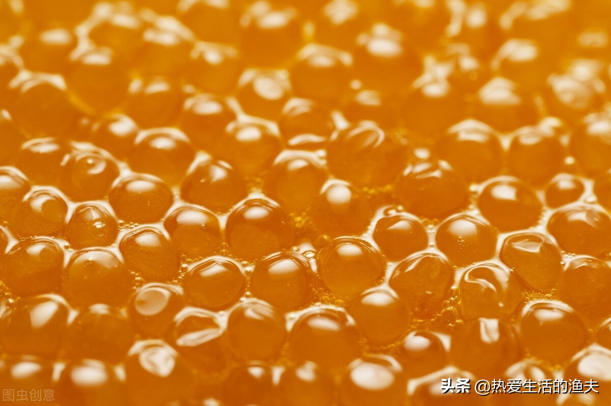 刚孵化出来的金鱼苗多久能喂食,金鱼鱼苗养几个月才能开过滤